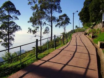 6 Days Kodaikanal and Ooty Family Vacation Package