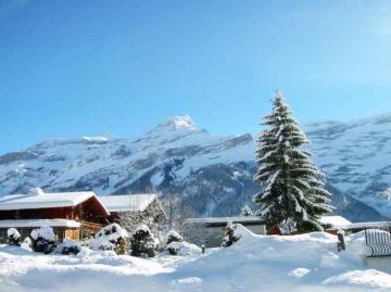 Ecstatic 7 Days 6 Nights Shimla Family Vacation Package