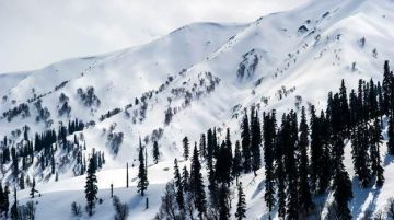 4 Days 3 Nights Srinagar with Gulmarg Avenue Lake Tour Package