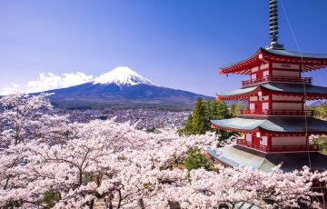 Heart-warming 8 Days 7 Nights Japan, Tokyo, Hakone with Takayama Vacation Package