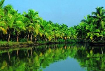 8 Days 7 Nights Kochi to Alleppey Family Vacation Vacation Package