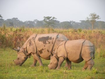 Ecstatic 6 Days Delhi to Meghalaya Wildlife Trip Package