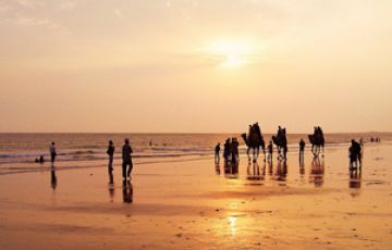 Beautiful 12 Days Ahmedabad to Gir Temple Tour Package