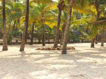 Memorable 7 Days Cochin, Munnar, Thekkady with Kumarakom Trip Package