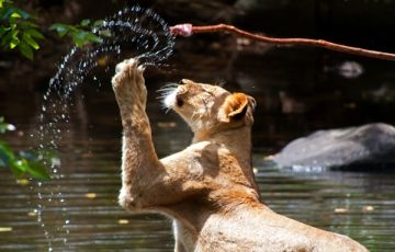 Pleasurable Mauritius Water Activities Tour Package for 6 Days 5 Nights