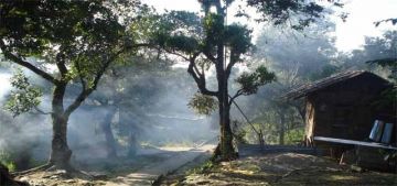 12 Days 11 Nights Guwahati to Mawlynnong Forest Vacation Package