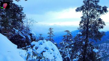 Family Getaway 3 Days Delhi to Shimla Offbeat Tour Package