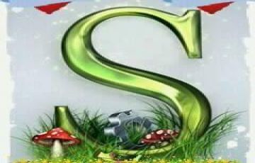 2 Nainital 1 Night Jimcorbett