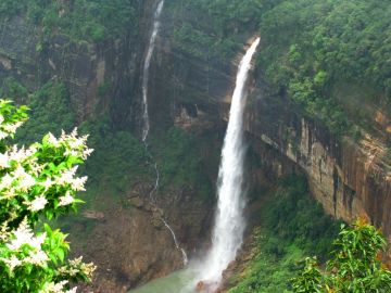 6 Days 5 Nights Kaziranga Romance Holiday Package