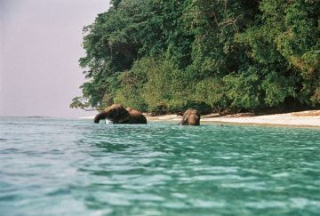 6 Days 5 Nights Port Blair Spa and Wellness Holiday Package