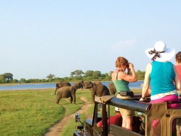 Experience 7 Days BANDARANAIKE INT AIRPORT COLOMBO to Colombo Tour Package