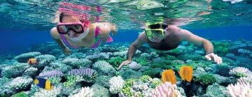 Amazing 6 Days 5 Nights Neil Island Luxury Trip Package