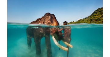 Explore Mauritius with Reunion Island Tour Package for 8 Days