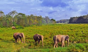 Magical 4 Days Kathmandu to Pashupatinath Honeymoon Holiday Package