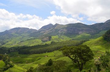 6 Days Munnar, Thekkady with Kovalam Water Activities Vacation Package