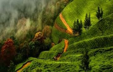 Best 3 Days 2 Nights COCHIN Holiday Package