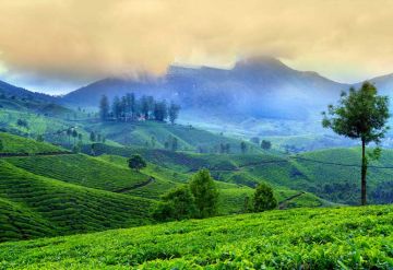 Heart-warming 5 Days 4 Nights Cochin Offbeat Trip Package