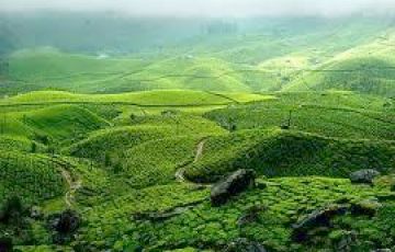 4 Days 3 Nights Kandy Forest Vacation Package