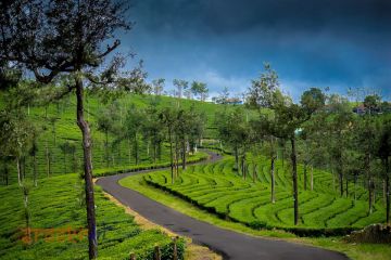Heart-warming 7 Days Munnar Friends Tour Package