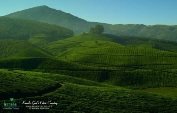 Pleasurable 3 Days 2 Nights Alappuzha and Munnar Hill Stations Holiday Package