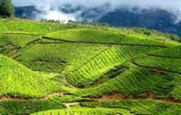 Memorable 5 Days 4 Nights Munnar Tour Package