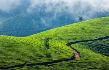 Ecstatic 7 Days 6 Nights Munnar Hill Stations Vacation Package