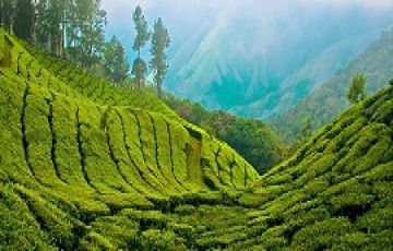 Magical 7 Days Delhi, Mumbai, Ahmadabad, Mumbai , Indore to Munnar Vacation Package
