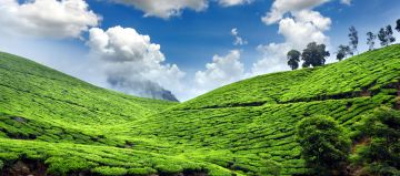 Amazing 4 Days Thekkady Culture Heritage Vacation Package