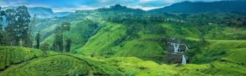 Beautiful 4 Days 3 Nights Munnar Friends Tour Package