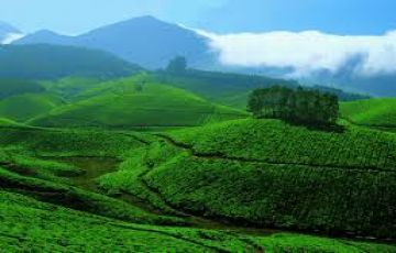 Magical 4 Days Munnar with Alleppey Water Activities Holiday Package