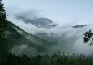 Pleasurable Kerala Nature Tour Package from Kochi