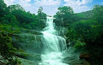 Family Getaway 6 Days Kochi to Thekkady Lake Trip Package