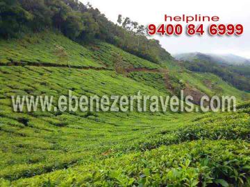 Best 5 Days 4 Nights Cochin Trip Package