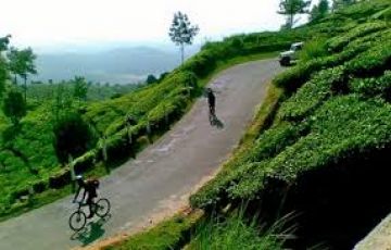 Experience 6 Days Kochi to Munnar Nature Holiday Package