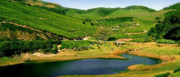 Heart-warming 2 Days Cochin to Thekkady Nature Trip Package