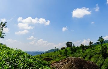 5 Days 4 Nights Munnar, Thekkedy, Cochin and Alleppey Vacation Package