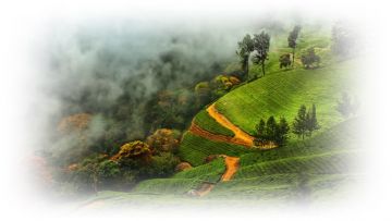 Magical 5 Days Thekkady Romantic Tour Package