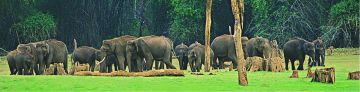 6 Days 5 Nights Munnar, Thekkady, Alleppey and Cochin Friends Holiday Package