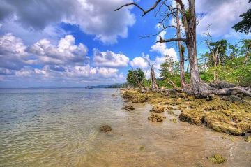 Magical 7 Days 6 Nights Port Blair Cruise Trip Package