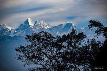 5 Days 4 Nights Delhi to Kathmandu Forest Trip Package