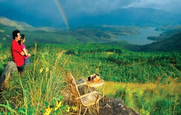 Munnar Forest Tour Package from Kochi