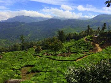7 Days 6 Nights Thekkady Culture Vacation Package