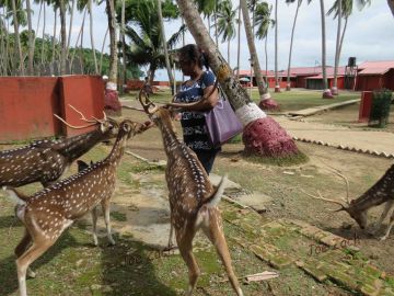 Best 7 Days 6 Nights Port Blair, Havelock with Neil Island Tour Package