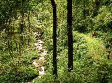 SIKKIM SILK ROUTE WITH NEORA VALLEY