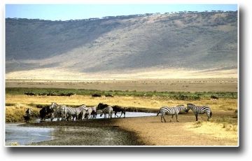 Beautiful 5 Days 4 Nights Ngorongoro Nature Vacation Package