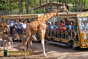 Experience Singapore Friends Tour Package from New Delhi