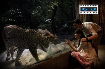 Pleasurable 5 Days Universal Studio Trip Package