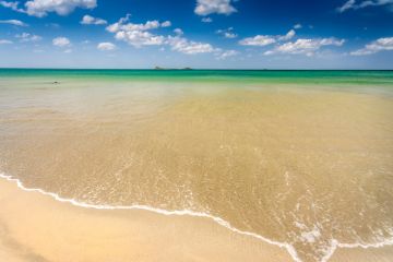 Heart-warming 7 Days 6 Nights Negombo Wildlife Trip Package