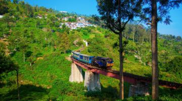 Experience 3 Days Coonoor Family Tour Package