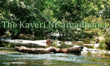 Heart-warming 4 Days 3 Nights Coorg Karnataka India Trip Package